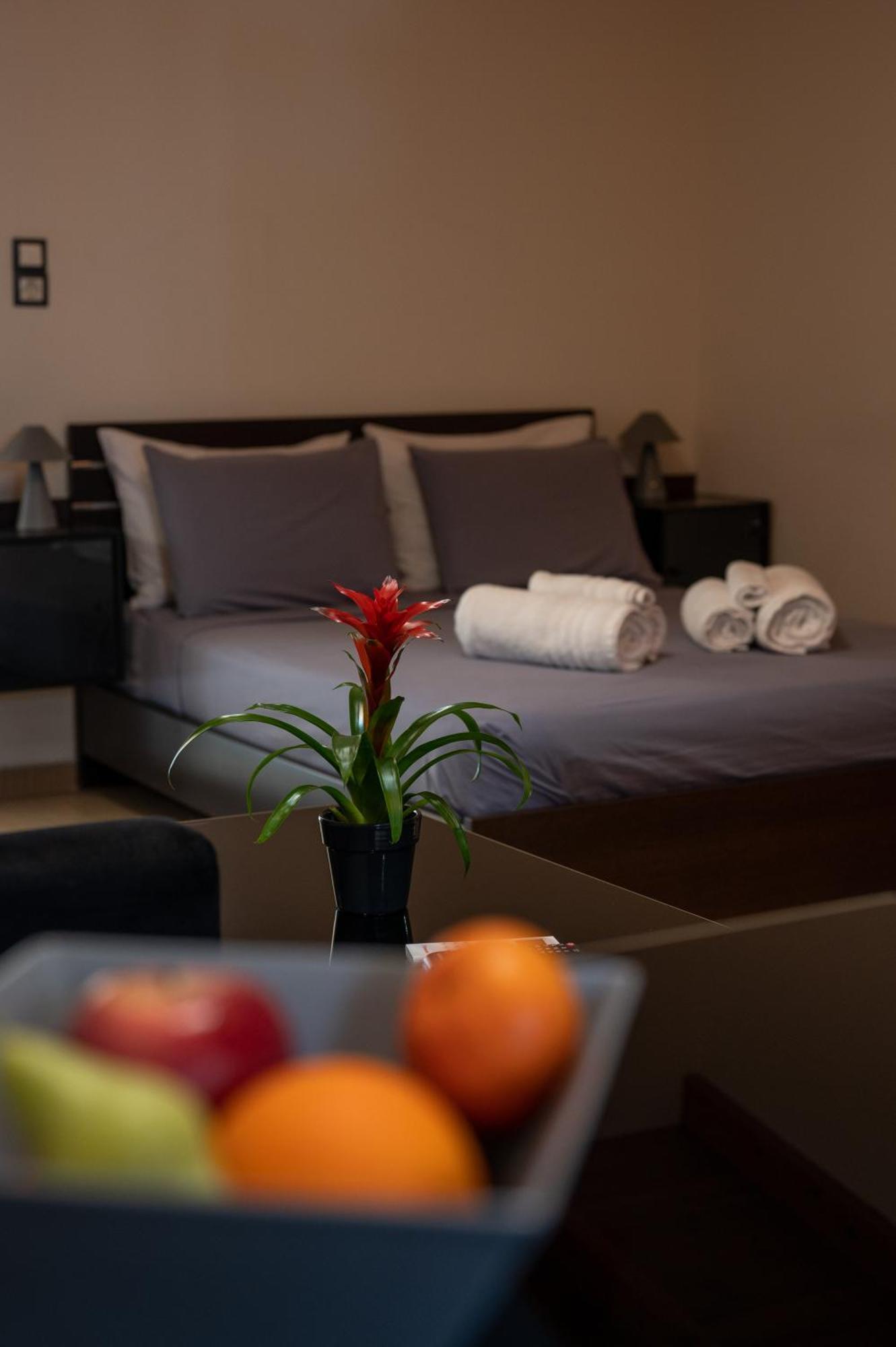 Filotimo Roofgarden Brown Apartment